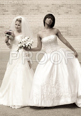 PIWEDSAMPLE024
