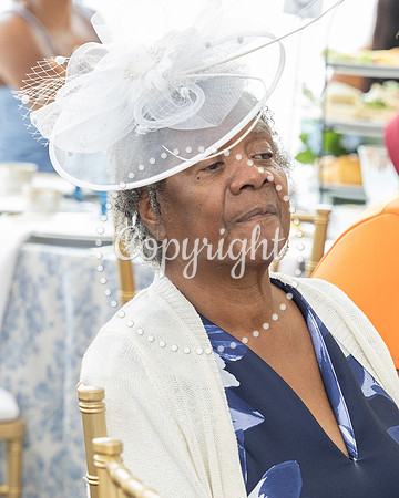 MSSSPLMTEA044