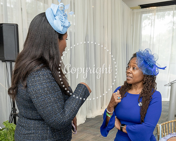 MSSSPLMTEA027