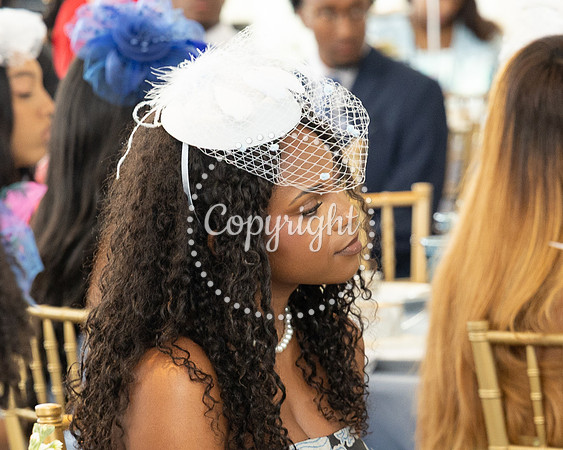 MSSSPLMTEA059