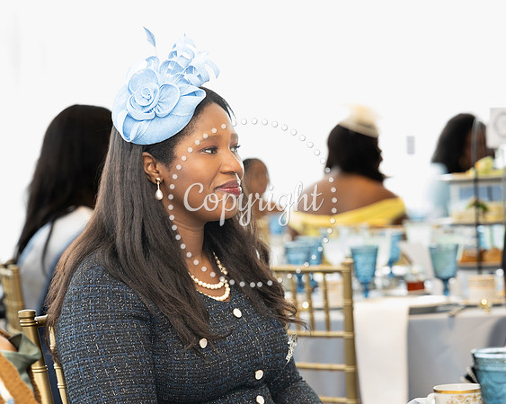 MSSSPLMTEA053