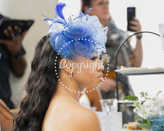 MSSSPLMTEA073