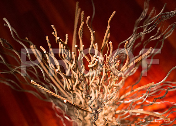 _MG_3546
