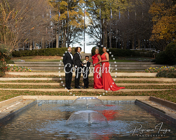 BRGFAM032