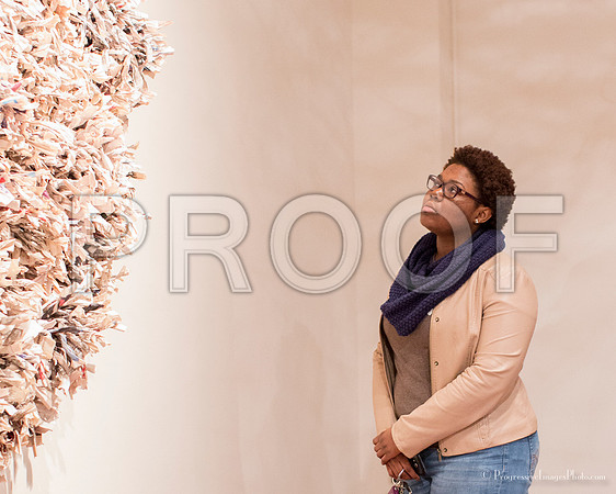 _MG_3712