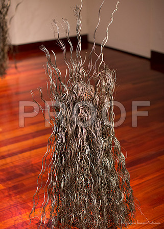 _MG_3535